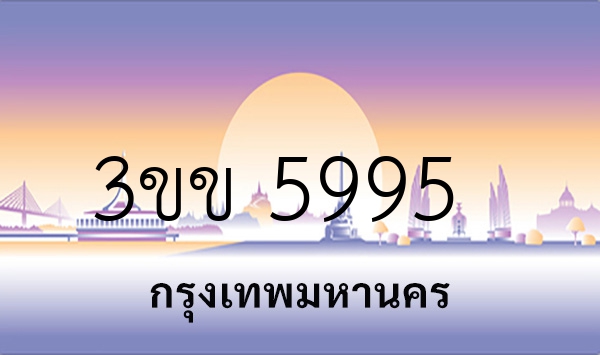 3ขข 5995